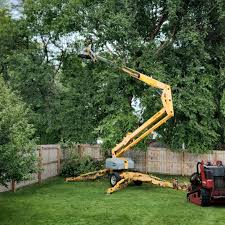 Lawn Drainage Solutions in Westover, AL
