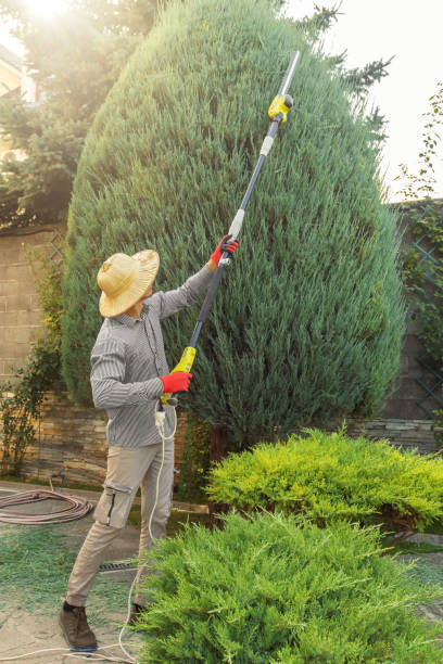 How Our Tree Care Process Works  in  Westover, AL